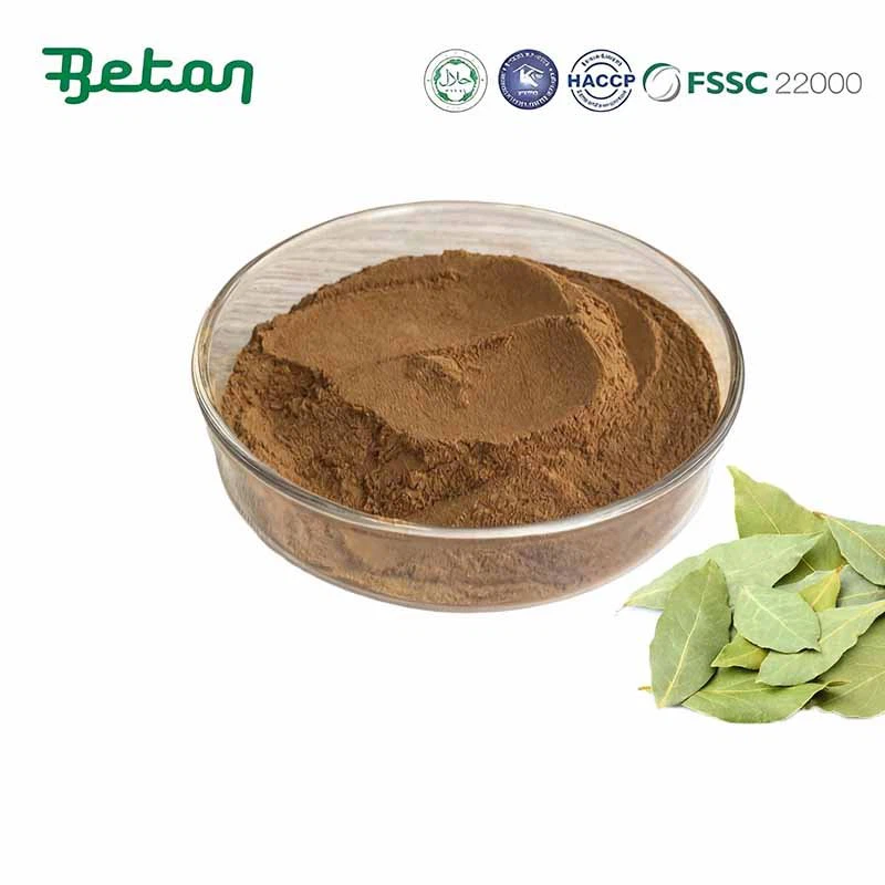 Poudre d'extrait de feuille de séné