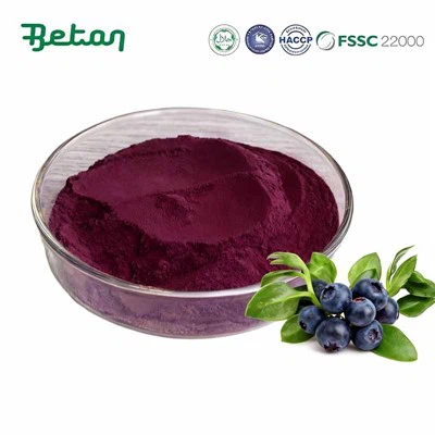 poudre d'extrait de myrtille pure