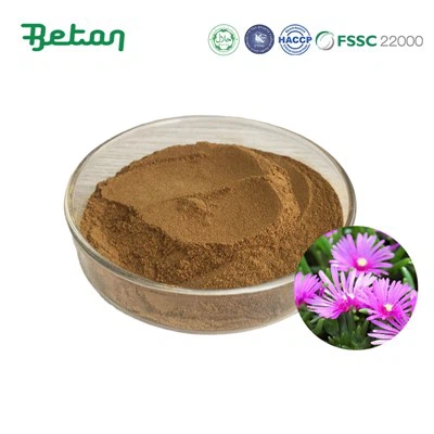 Poudre d'extrait de Kanna